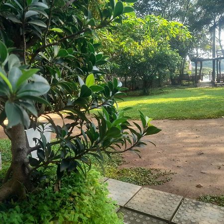 Shashin Lake Resort 丹不拉 外观 照片